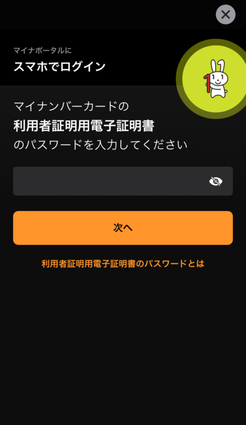 マイナポータルAP　パスワード入力
